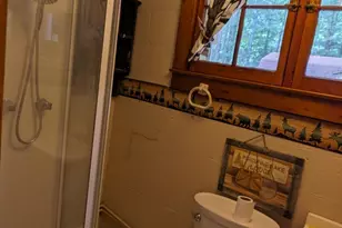 1640 W Bartlett Rd, Baldwin, MI 49304 - Photo 20