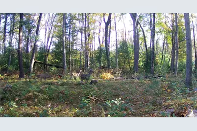 4393 E 8th Street, White Cloud, MI 49349 - Photo 74