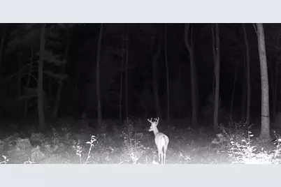V/L E 8th Street, White Cloud, MI 49349 - Photo 18