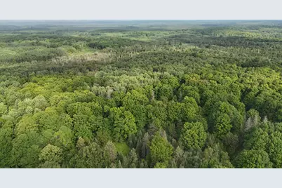 Vl Perrin Brothers Trail, Gwinn, MI 49841 - Photo 16