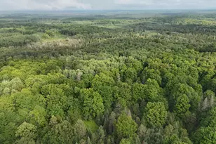 Vl Perrin Brothers Trail, Gwinn, MI 49841 - Photo 16