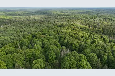 Vl Perrin Brothers Trail, Gwinn, MI 49841 - Photo 14