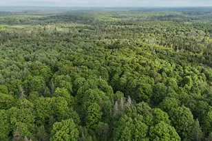Vl Perrin Brothers Trail, Gwinn, MI 49841 - Photo 14