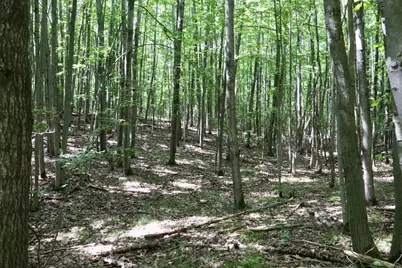00 7 Mile Road, Evart, MI 49631 - Photo 14