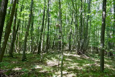 00 7 Mile Road, Evart, MI 49631 - Photo 16