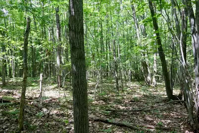 00 7 Mile Road, Evart, MI 49631 - Photo 20