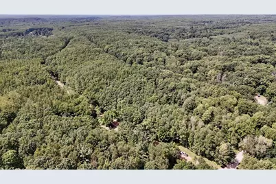 V/L 7 Mile Road, Evart, MI 49631 - Photo 1