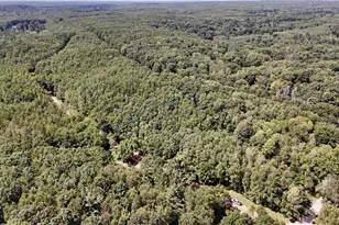 00 7 Mile Rd, Evart, MI 49631 - Photo 1