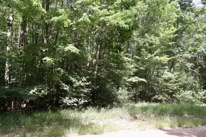 00 7 Mile Road, Evart, MI 49631 - Photo 24