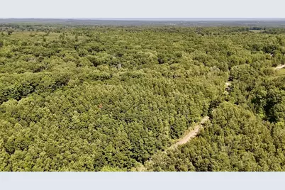 00 7 Mile Road, Evart, MI 49631 - Photo 8