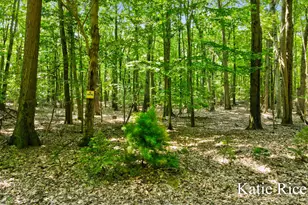 2030 N Scenic Dr, Muskegon, MI 49445 - Photo 58