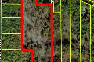 2465 E Arthur Rd, Rothbury, MI 49452 - Photo 38