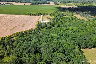 8872 E Spencer Rd, Crystal, MI 48818 - Photo 38