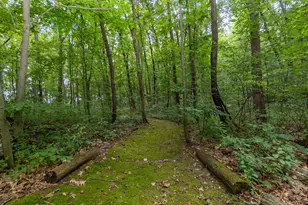 2589 Fisk Rd, Howell, MI 48843 - Photo 6
