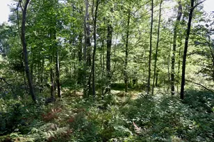 11276 N Pine Grove Road NE, Vestaburg, MI 48891 - Photo 10