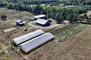 11276 N Pine Grove Road NE, Vestaburg, MI 48891 - Photo 2