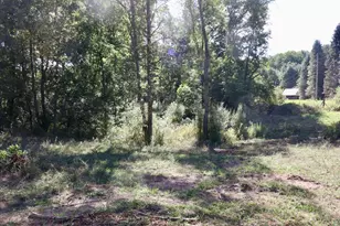 11276 N Pine Grove Road NE, Vestaburg, MI 48891 - Photo 72
