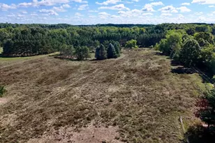 11276 N Pine Grove Road NE, Vestaburg, MI 48891 - Photo 52