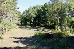11276 N Pine Grove Road NE, Vestaburg, MI 48891 - Photo 70