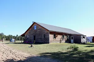 11276 N Pine Grove Road NE, Vestaburg, MI 48891 - Photo 16