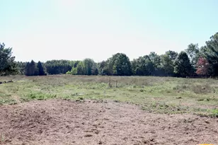 11276 N Pine Grove Road NE, Vestaburg, MI 48891 - Photo 54