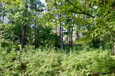 11276 N Pine Grove Road NE, Vestaburg, MI 48891 - Photo 12
