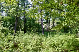 11276 N Pine Grove Road NE, Vestaburg, MI 48891 - Photo 12