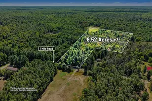 00000 1 Mile Rd, Morley, MI 49336 - Photo 1