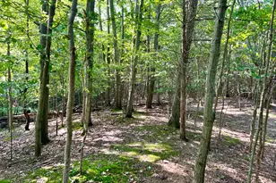 1735 N Darling Ln, Fennville, MI 49408 - Photo 60