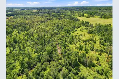 Vl W Woodruff Road, Weidman, MI 48893 - Photo 6