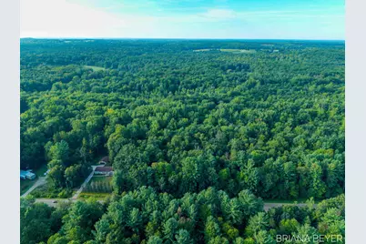 5 Acres 128th Avenue, Allegan, MI 49010 - Photo 4