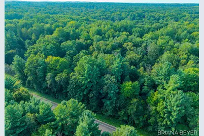 5 Acres 128th Avenue, Allegan, MI 49010 - Photo 2
