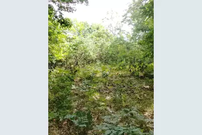 3+/- Acres S Frank Smith Road, Chase, MI 49623 - Photo 4