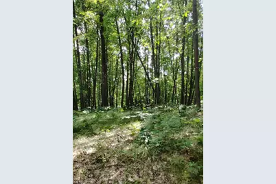 3+/- Acres S Frank Smith Road, Chase, MI 49623 - Photo 10