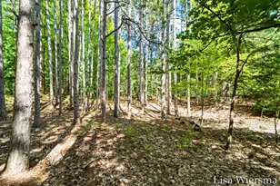 6572 Haines Ln, West Olive, MI 49460 - Photo 54