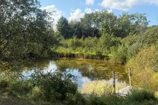 2029 E 6 Mile Rd, White Cloud, MI 49349 - Photo 2