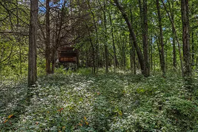 V/L E Riverside Dr, Lyons, MI 48851 - Photo 20
