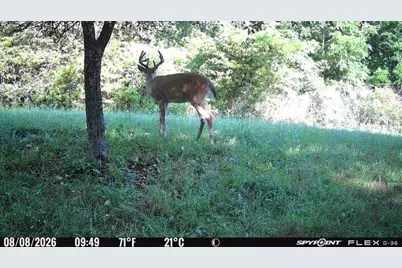 V/L E Riverside Dr, Lyons, MI 48851 - Photo 12