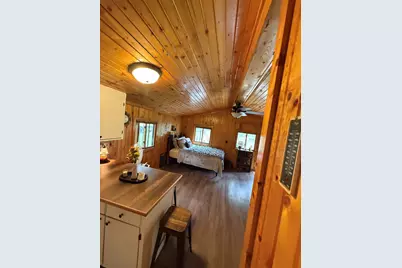 11691 Killdeer Drive, Lakeview, MI 48850 - Photo 34