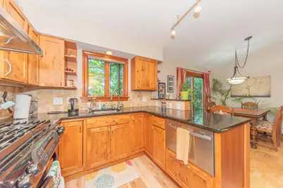 1013 Fountain Street, Ann Arbor, MI 48103 - Photo 50