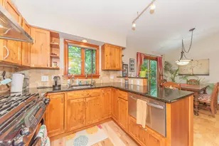 1013 Fountain St, Ann Arbor, MI 48103 - Photo 50
