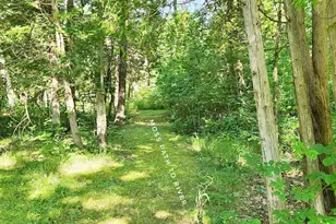 899 E 8th St, White Cloud, MI 49349 - Photo 62