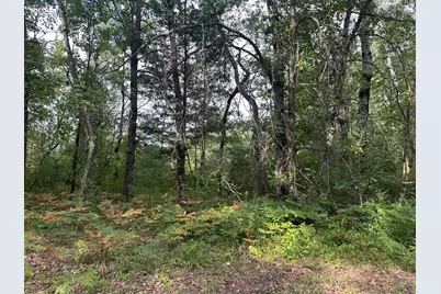 Beaver Road, Bitely, MI 49309 - Photo 10