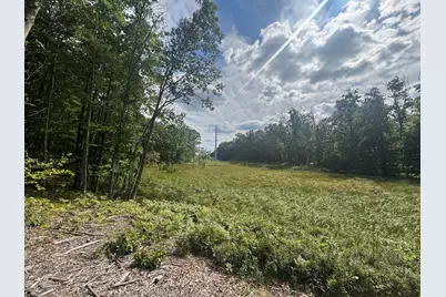 V/L 13.06A E 84th St, Reed City, MI 49677 - Photo 20