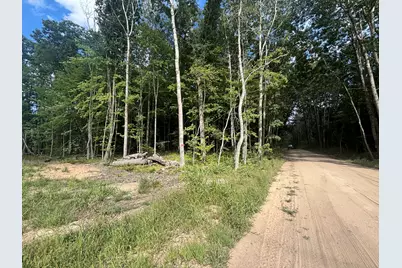 V/L 13.06A E 84th St, Reed City, MI 49677 - Photo 28