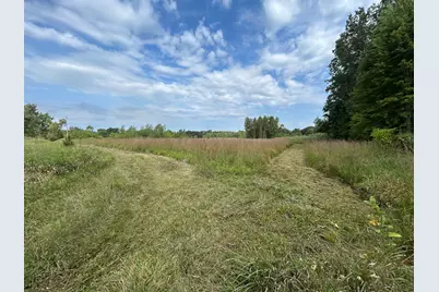Church Road, Hillsdale, MI 49242 - Photo 2