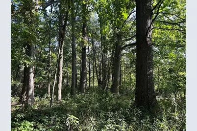 Church Road, Hillsdale, MI 49242 - Photo 16