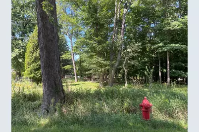 0 Maple Road, Sawyer, MI 49125 - Photo 2