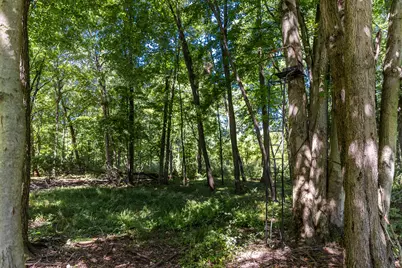 8972 College Avenue, Jackson, MI 49201 - Photo 80
