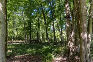 8972 College Ave, Jackson, MI 49201 - Photo 80